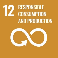 icon sdgs 12