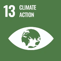 icon sdgs 13