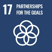 icon sdgs 17